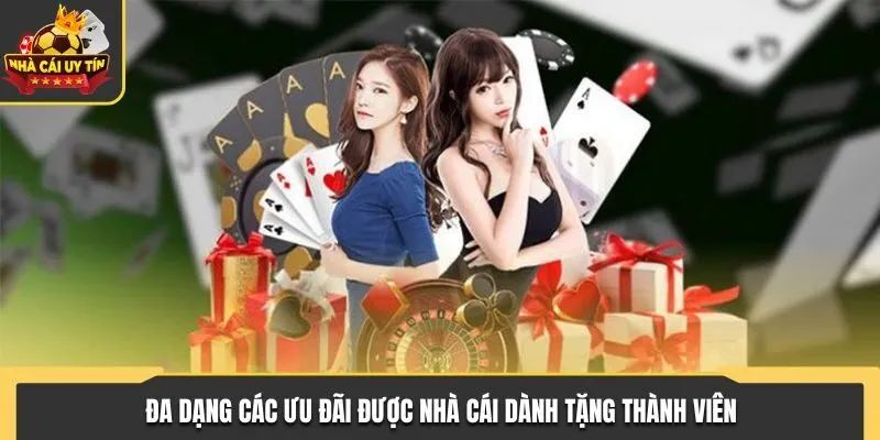 Đa dạng các ưu đãi được nhà cái dành tặng thành viên