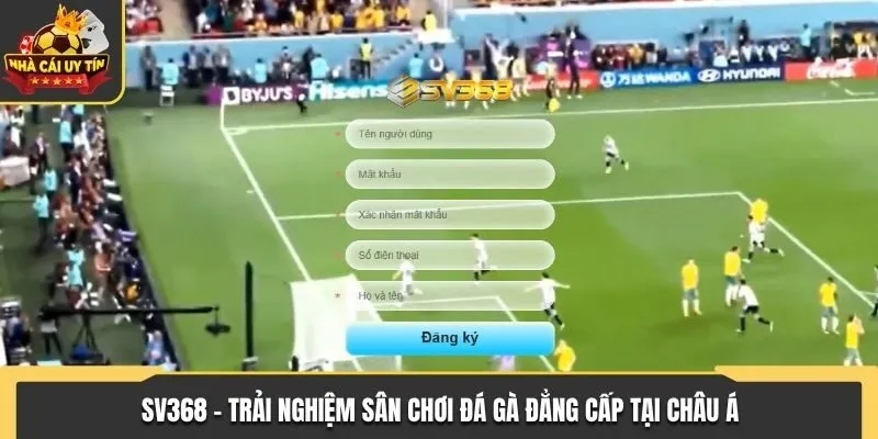 SV368 - Trải Nghiệm Sân Chơi Đá Gà Đẳng Cấp Tại Châu Á