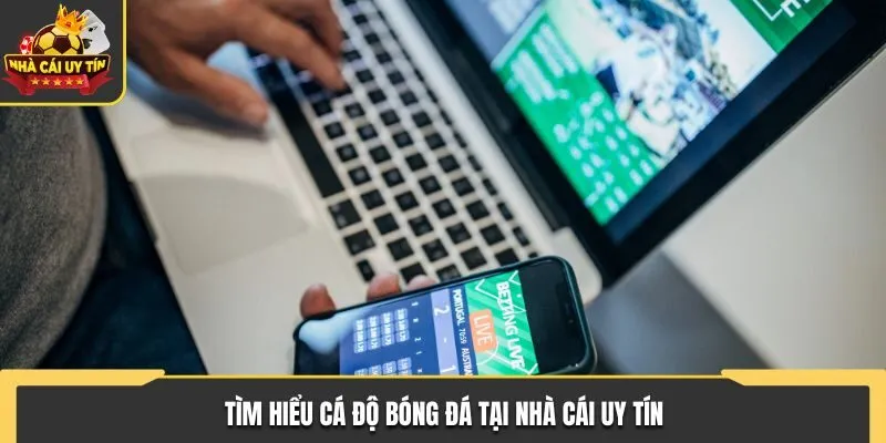 Kèo Nhà Cái Sieukeo - Phân Tích Trận Đấu Bóng Đá Chuẩn Nhất 1 Tìm hiểu cá độ bóng đá tại Nhà Cái Uy Tín